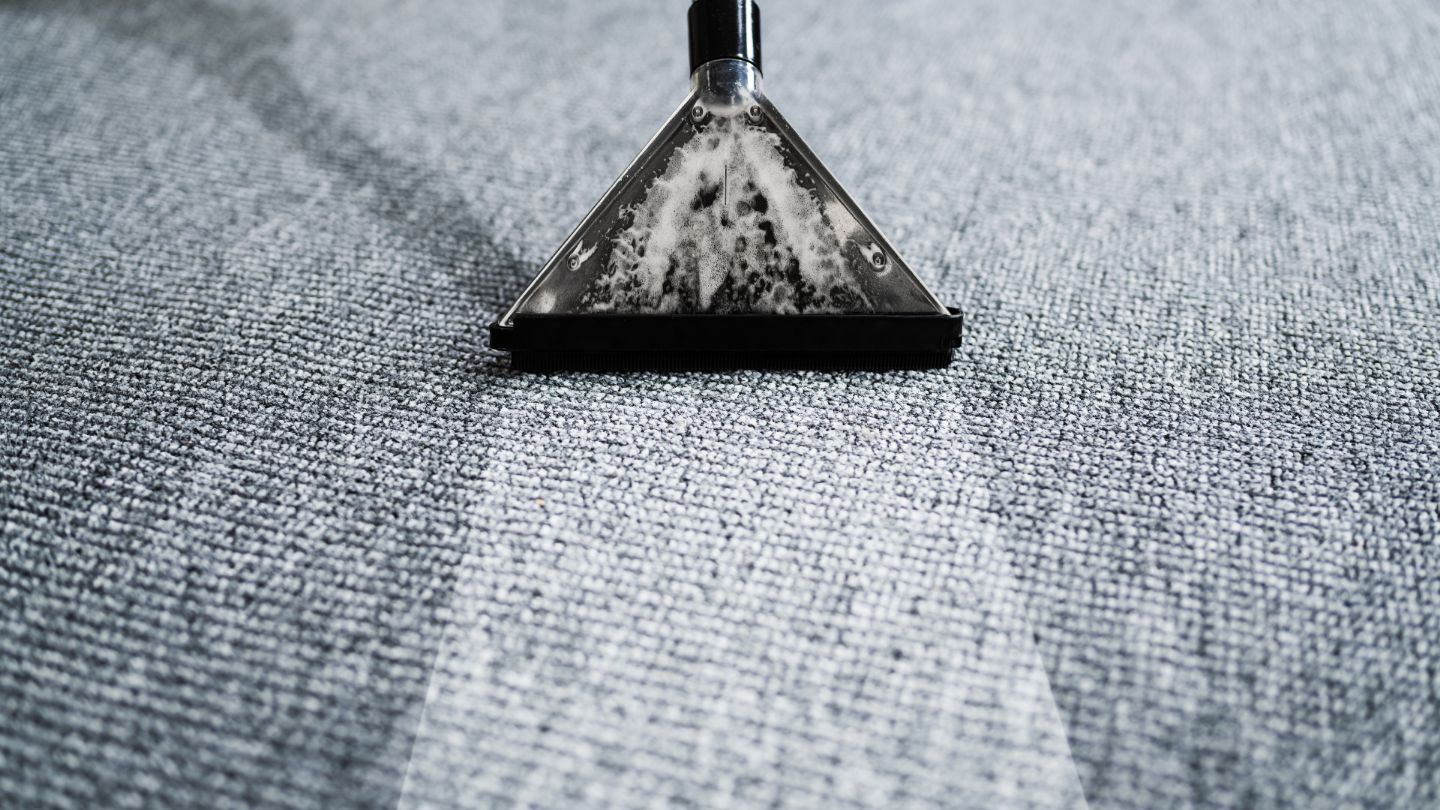 Deep carpet cleaning service